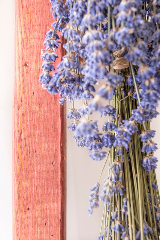 Pacific Redwood - MILK PAINT STAIN