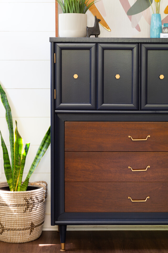 Dresser painted in FMPs midnight blue, drawers are a dark stained wood, there is a large snake plant beside the dresser