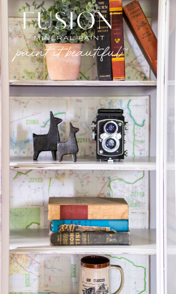 Up close image of vintage decor, camera & llamas on cabinet shelf