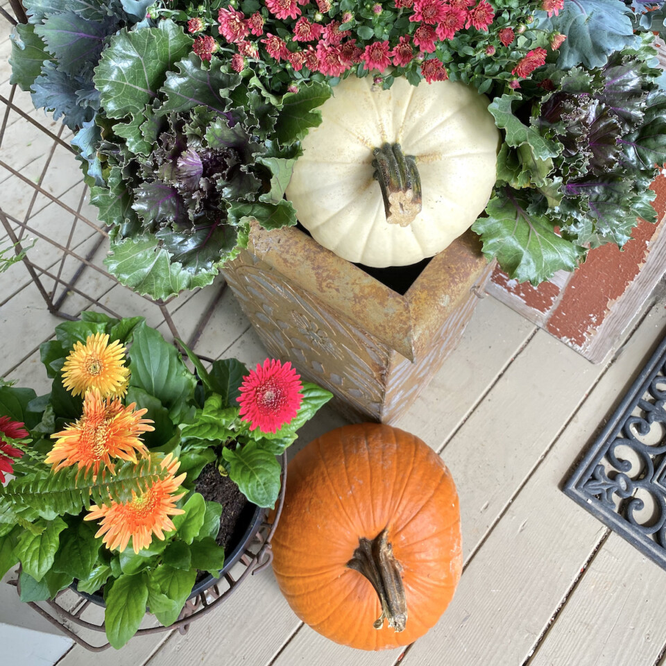 Planter box with fall mums and white pumpkin, with an orange pumpkin beside some orange and pink flowers
