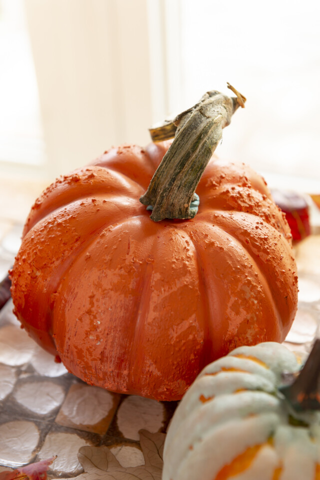 Close up view of textured tuscan orange pumpkin