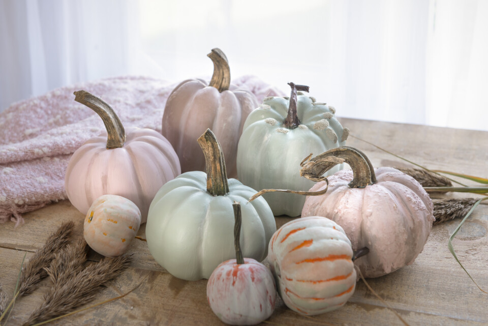 Side view of 8 pumpkins, some painted pink and some blue