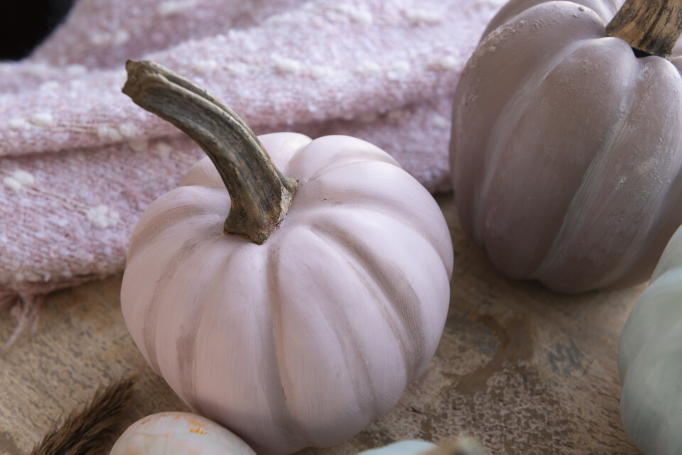 Close up of pink pumpkin, in the background there is a pink blanket and another pink pumpkin