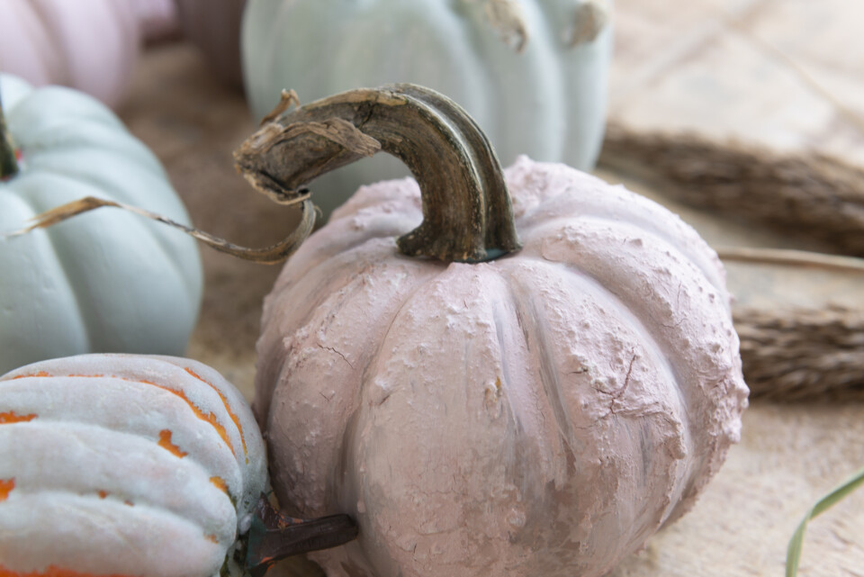 Close up of a pink textured pumpkin