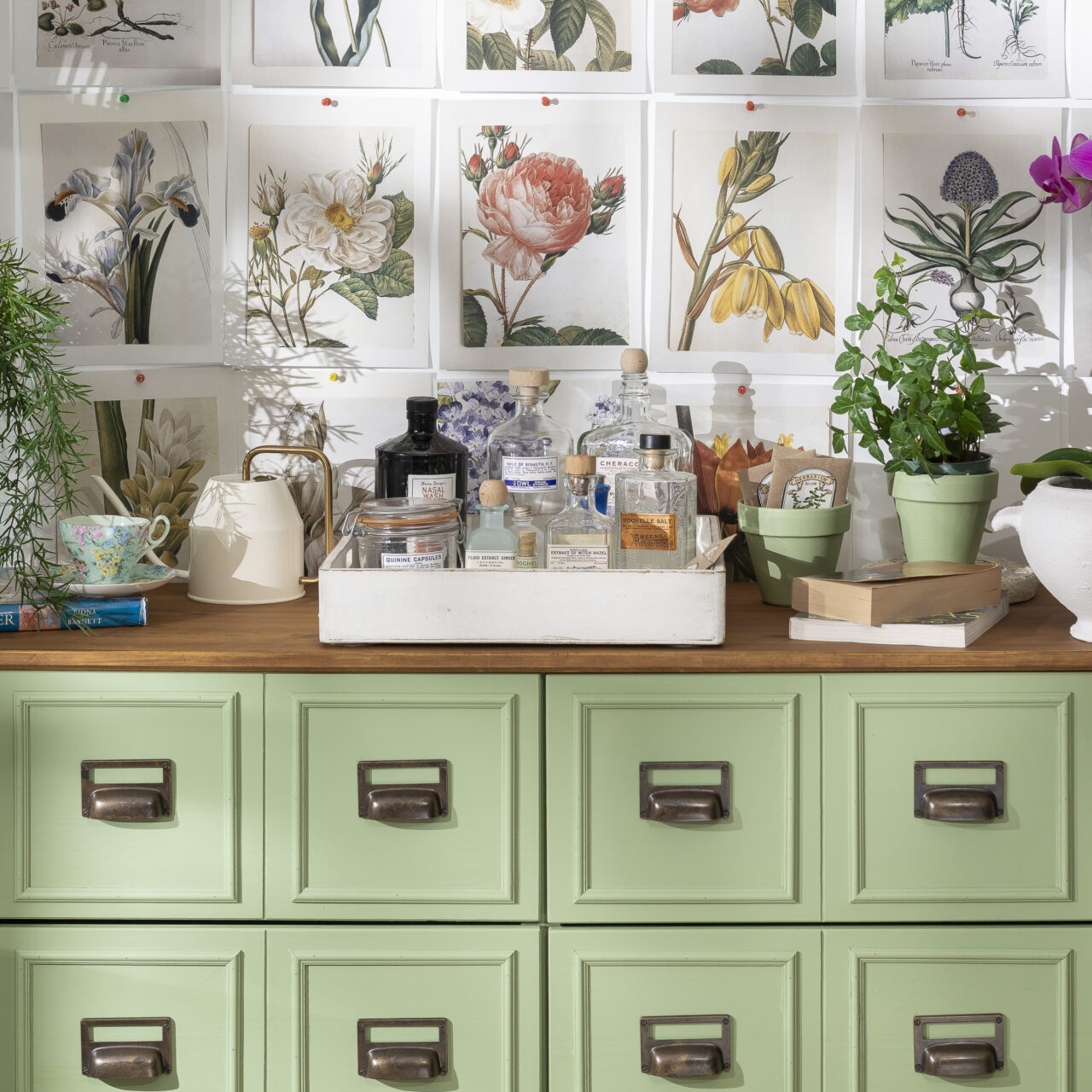 DIY Apothecary cabinet with Conservatory