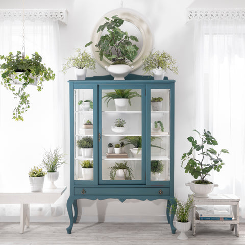 China Cabinet for Succulent Display