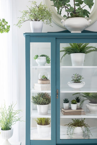 China Cabinet for Succulent Display